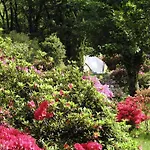 假日公园 & Valle Romantica 坎诺比奥